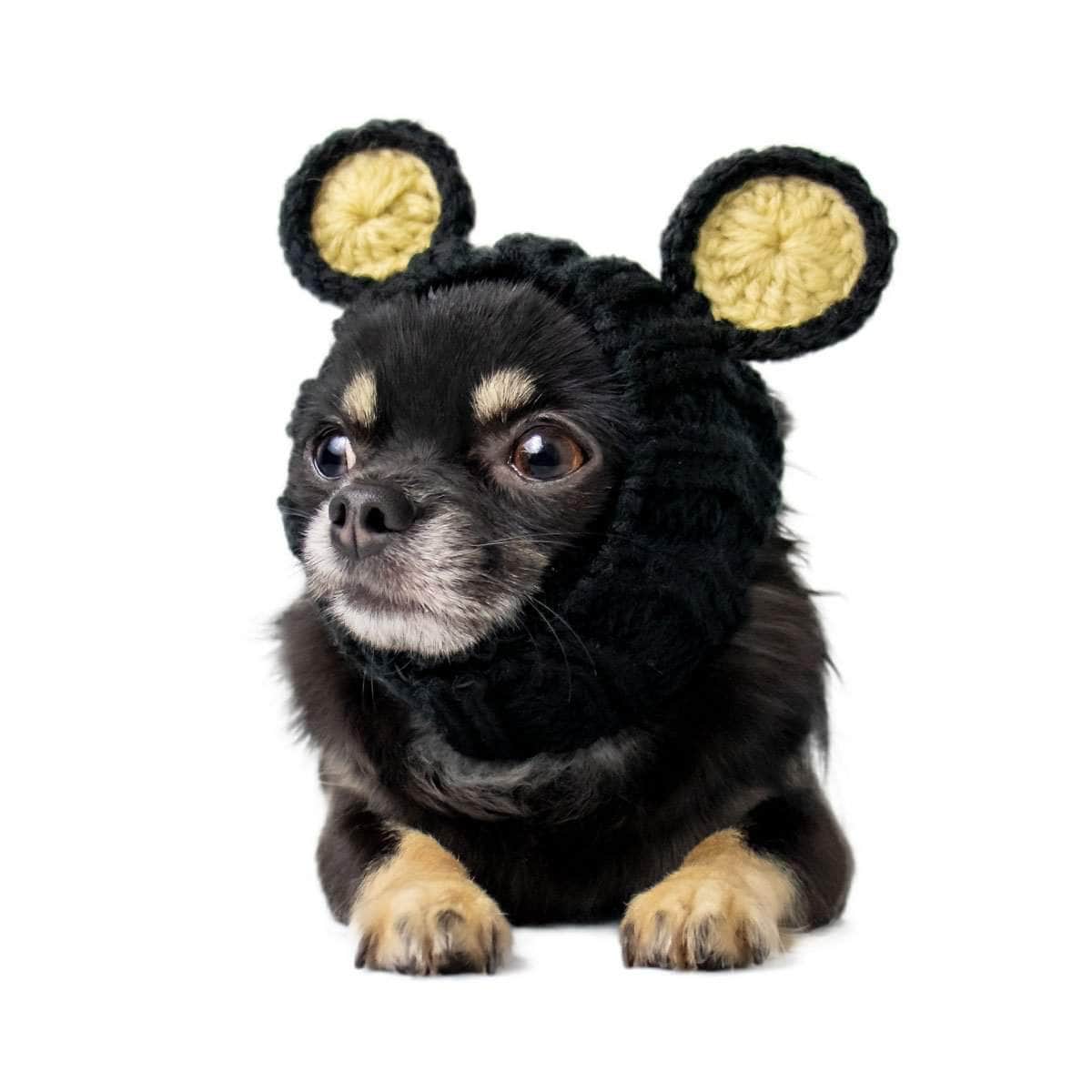 Ears up Black Bear Zoo Snood dog costume