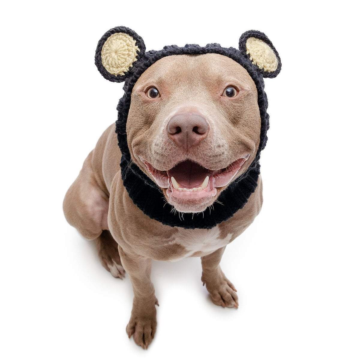 Dog Costume Black Bear Zoo Snood pitbull