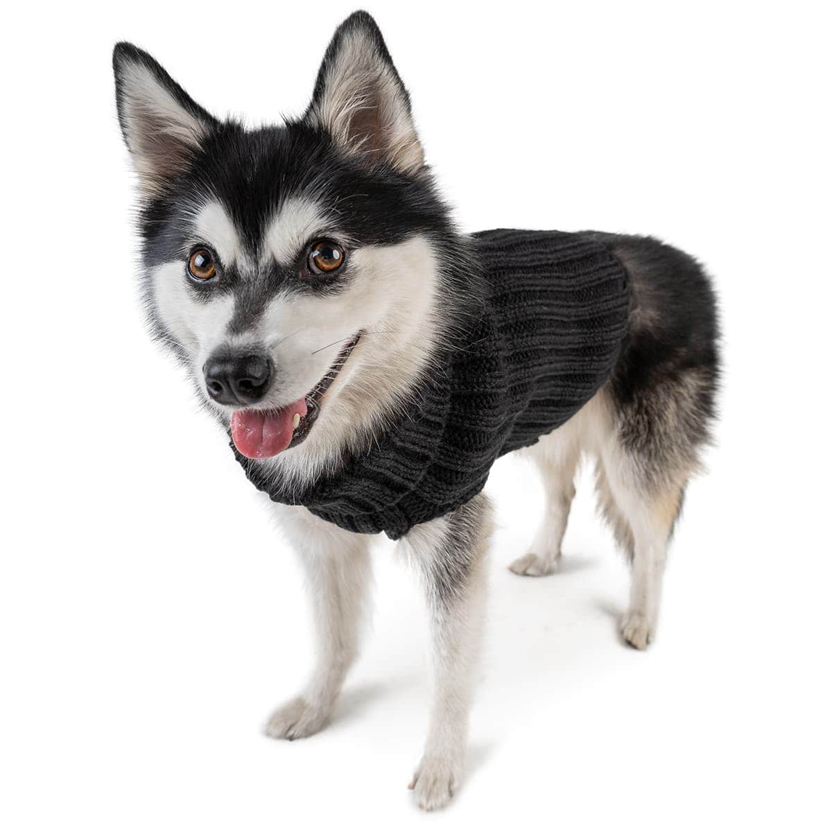 Husky Dog Costume Black Zoo Sweater