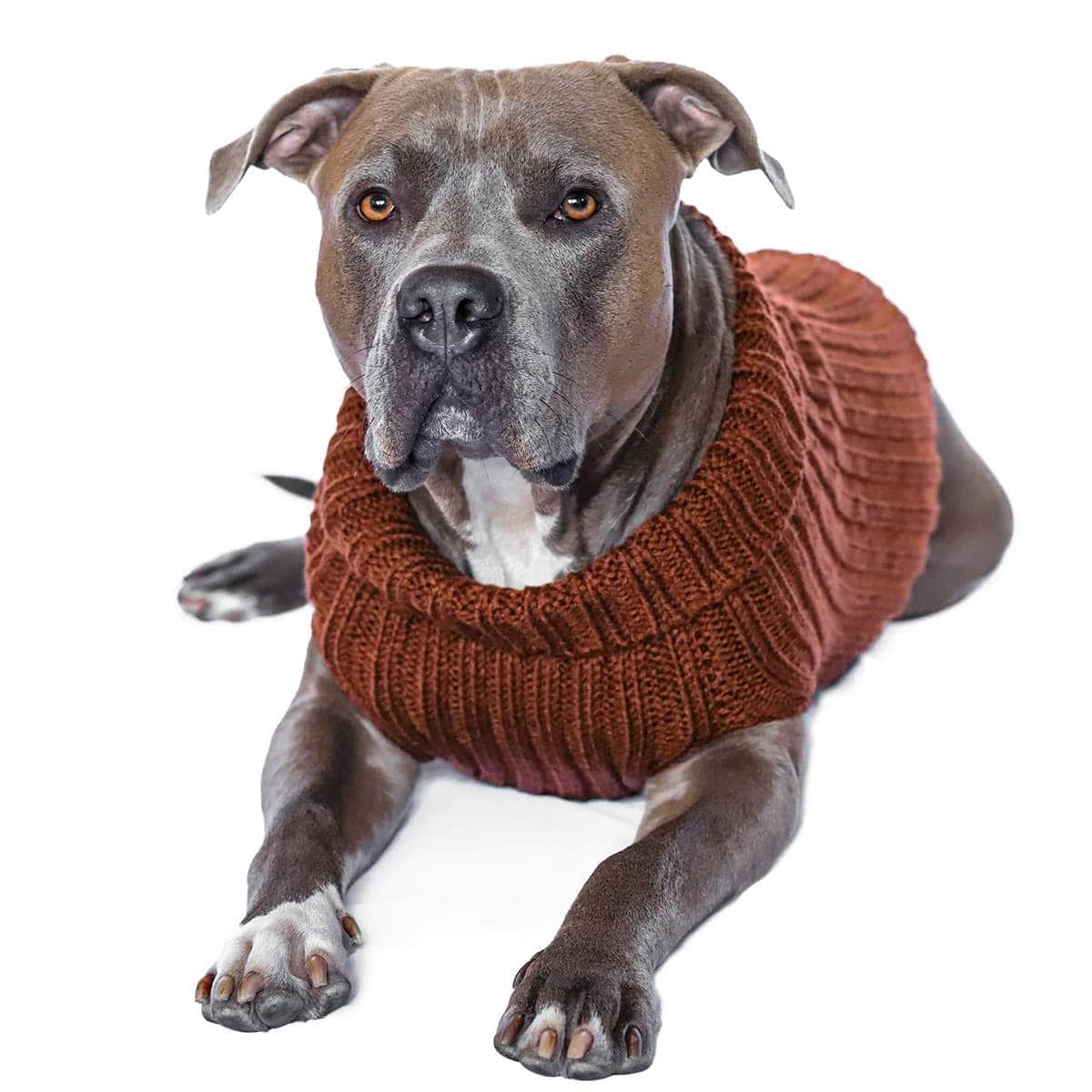 Dog Costume Brown Zoo Sweater