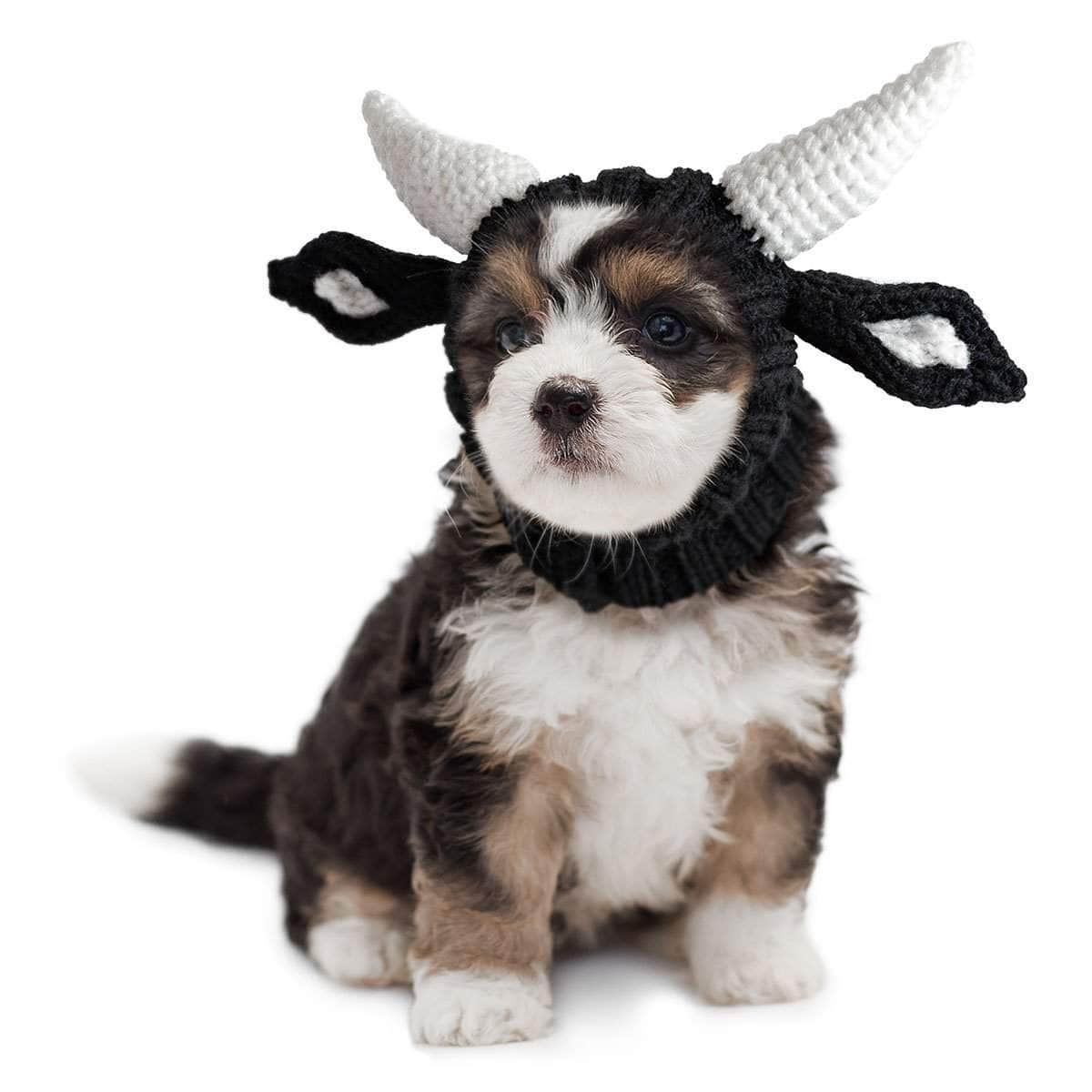 Dog Costume Bull Zoo Snood 5