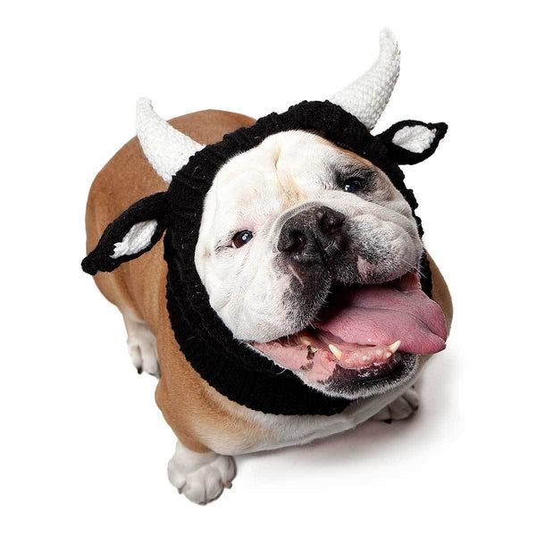 Dog in cow costume online