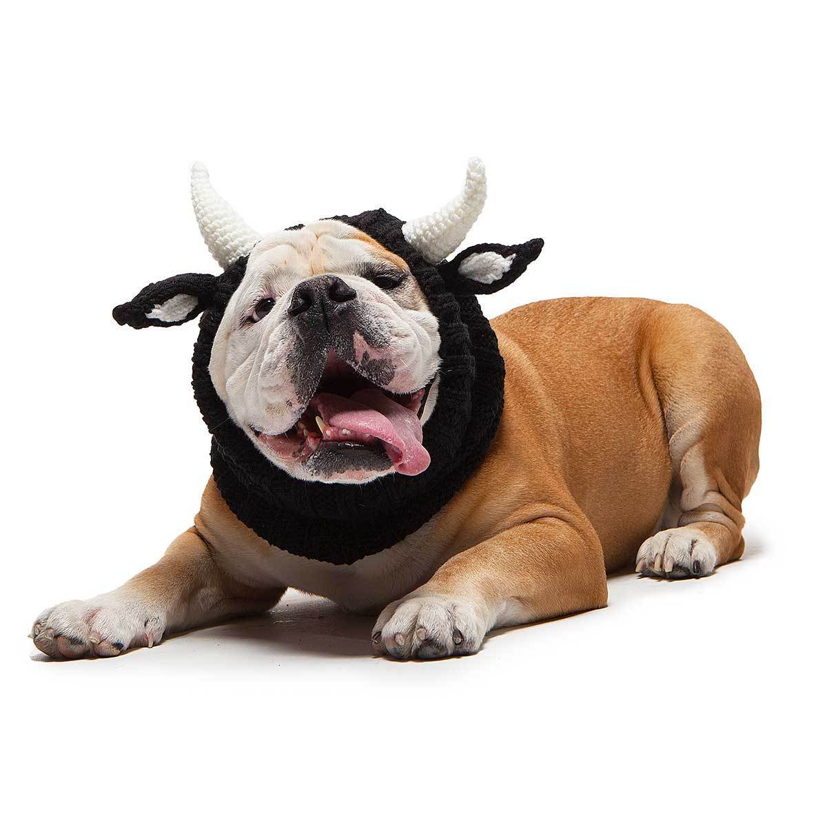 Dog Costume Bull Zoo Snood 1