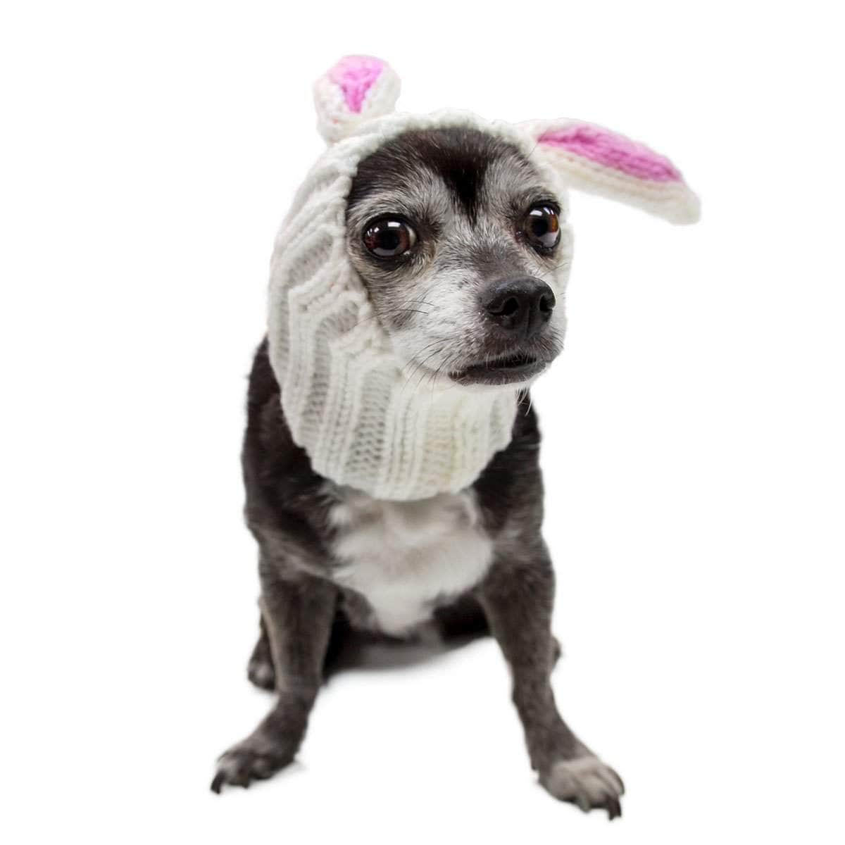 Dog Costume Bunny Rabbit Zoo Snood face view