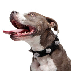 Zoo Snoods Crochet Spiked Dog Collar for Small, Medium and Large Dogs