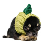 Dog Costume Dinosaur Zoo Snood 3