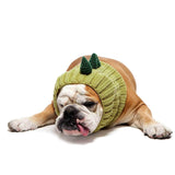 Dog Costume Dinosaur Zoo Snood 1
