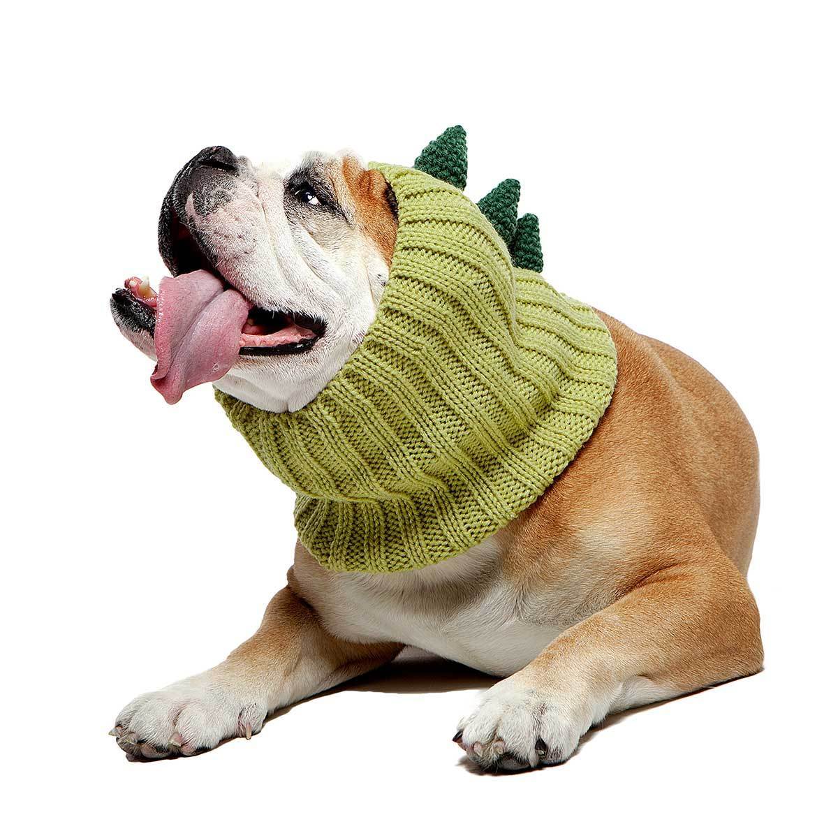 Dog Costume Dinosaur Zoo Snood