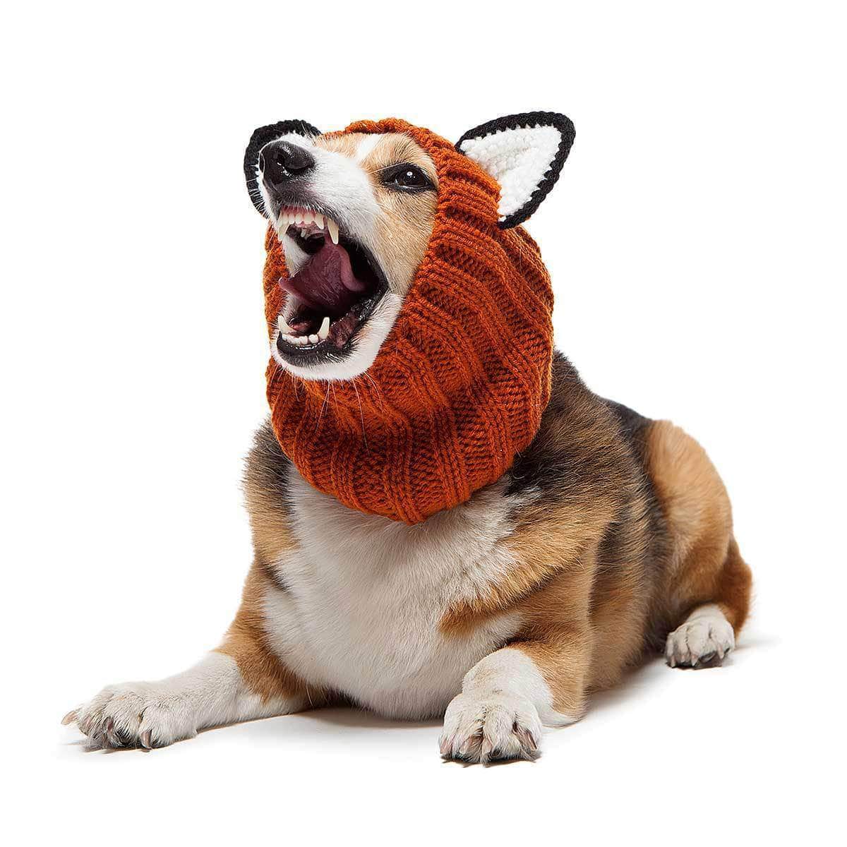 Dog Costume Fox Zoo Snood 1