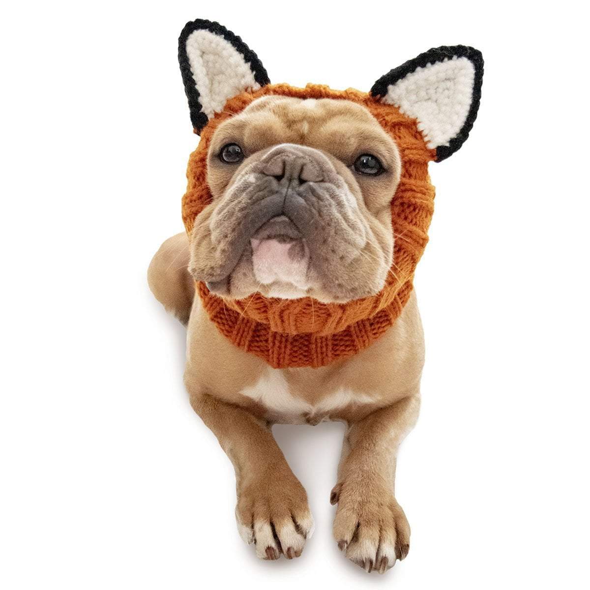 Dog Costume Fox Zoo Snood 2