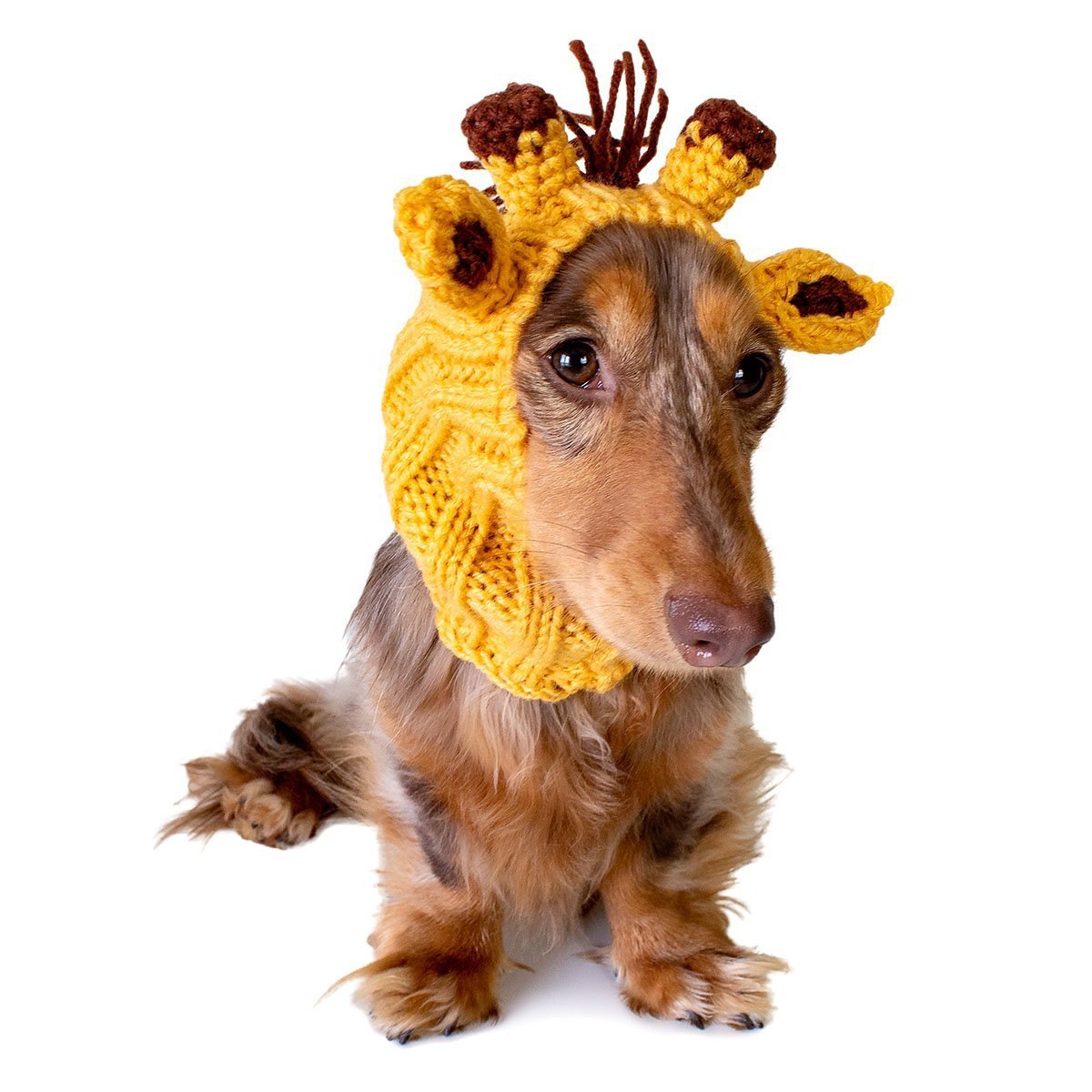 Giraffe costumes for best sale dogs