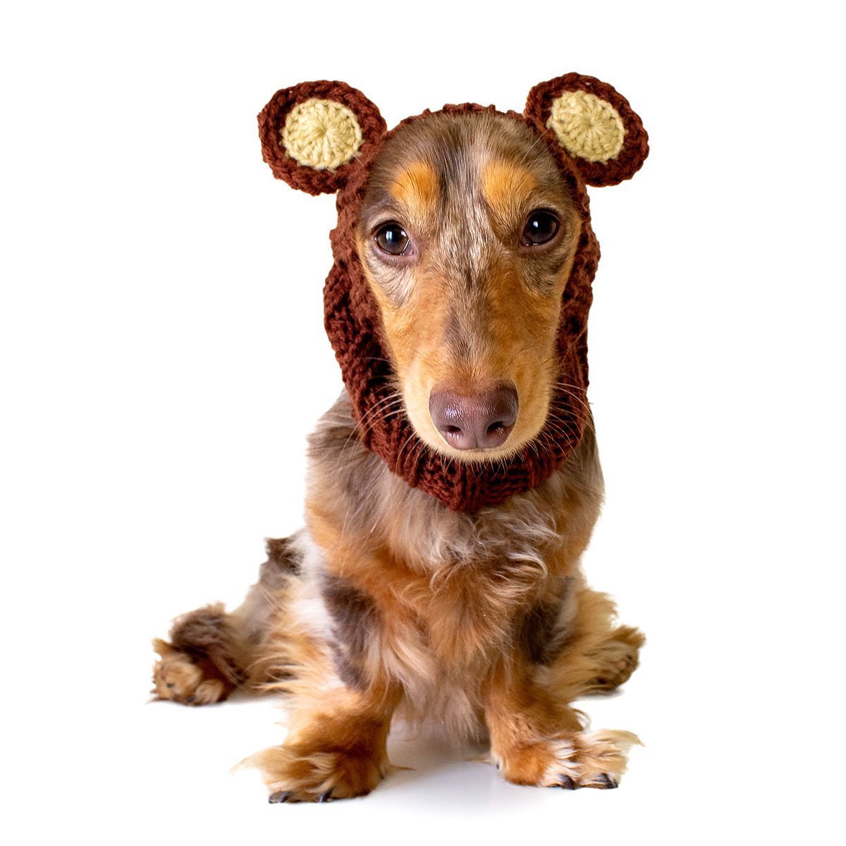 Dog Costume Grizzly Bear Zoo Snood