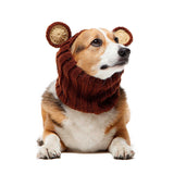 Dog Snood Costume Grizzly Teddy Bear Zoo Snood