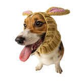 Dog Costume Jack Rabbit Zoo Snood 1