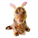 Dog Costume Jack Rabbit Zoo Snood 2