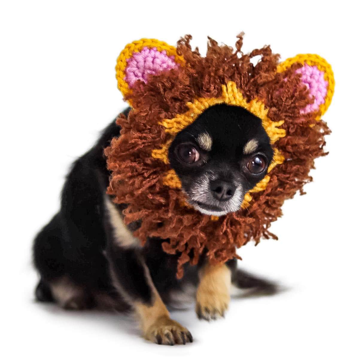 Dog Costume Lion Zoo Snood