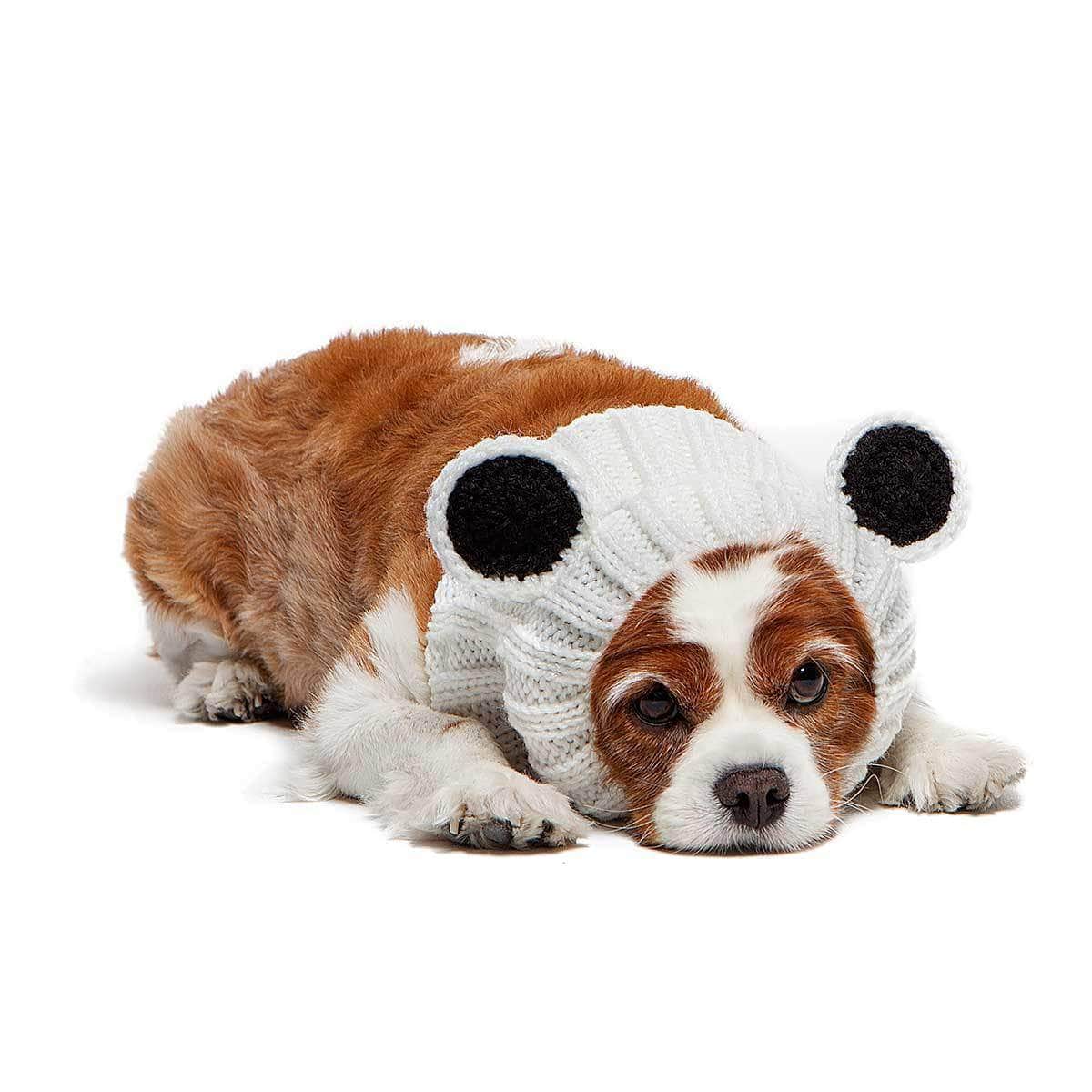 Dog Costume Panda Bear Zoo Snood 4