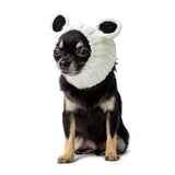 Dog Costume Panda Bear Zoo Snood 2