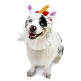 Dog Costume Unicorn Zoo Snood 02