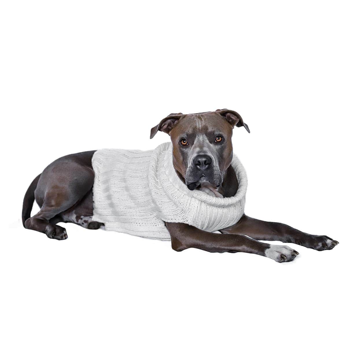 Dog Costume White Zoo Sweater 01