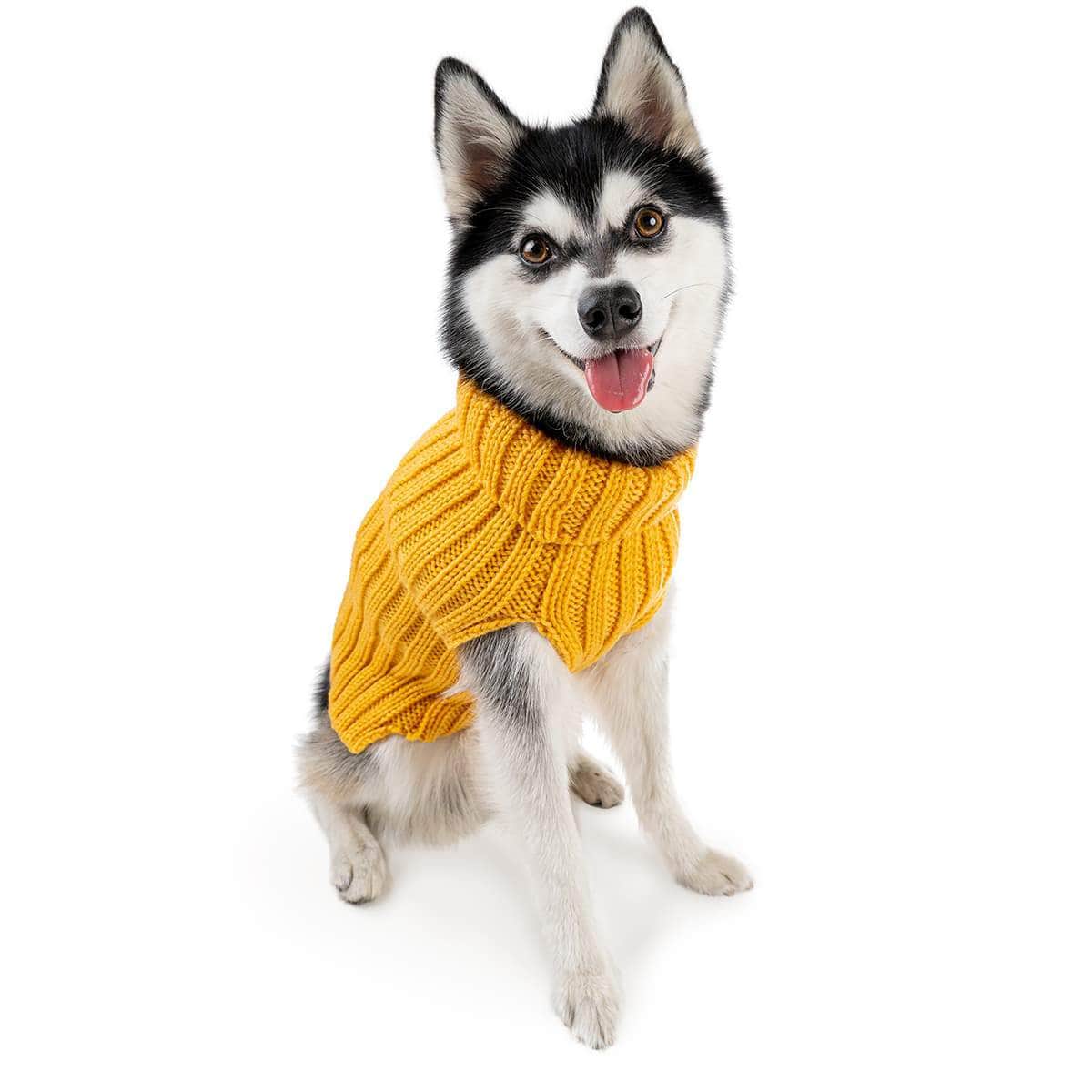 Dog Costume Yellow Zoo Sweater large